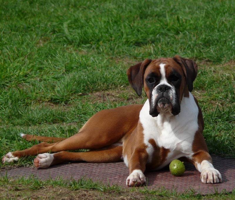 Felwe Du puits calin