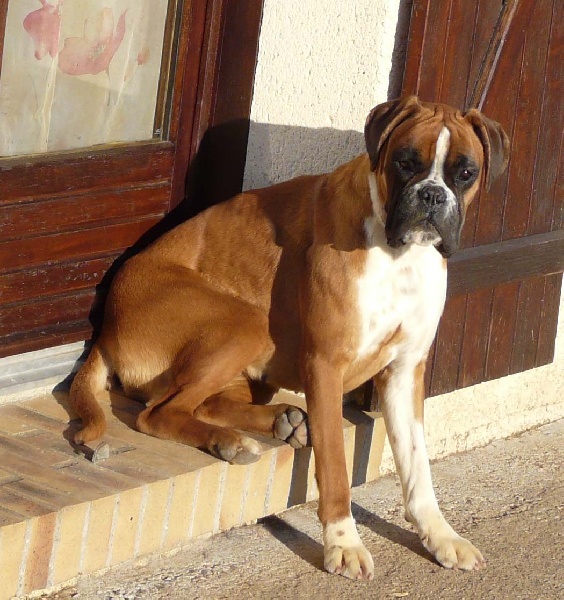 Faolane Du puits calin