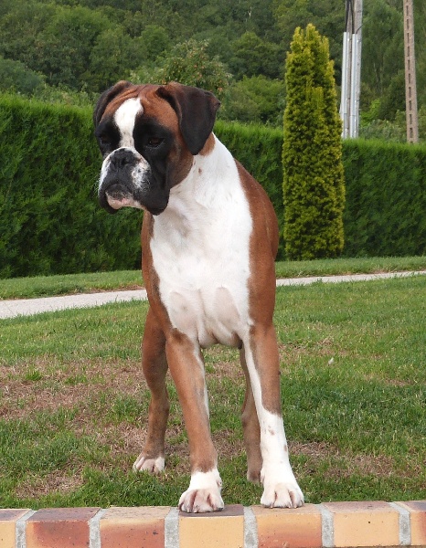 Feylore Du puits calin