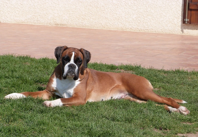 Iozabel Du puits calin