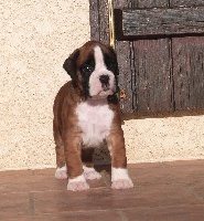 Iozabel du Puits Câlin
